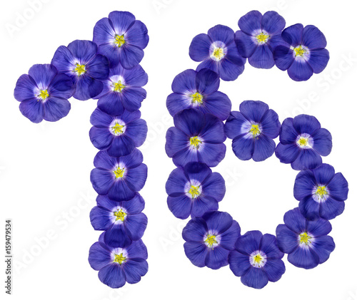 Arabic numeral 16, sixteen, from blue flowers of flax, isolated on white background