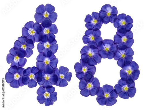 Arabic numeral 48, forty eight, from blue flowers of flax, isolated on white background