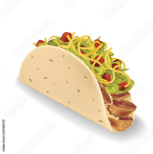 Taco vector illustration in realistic style.