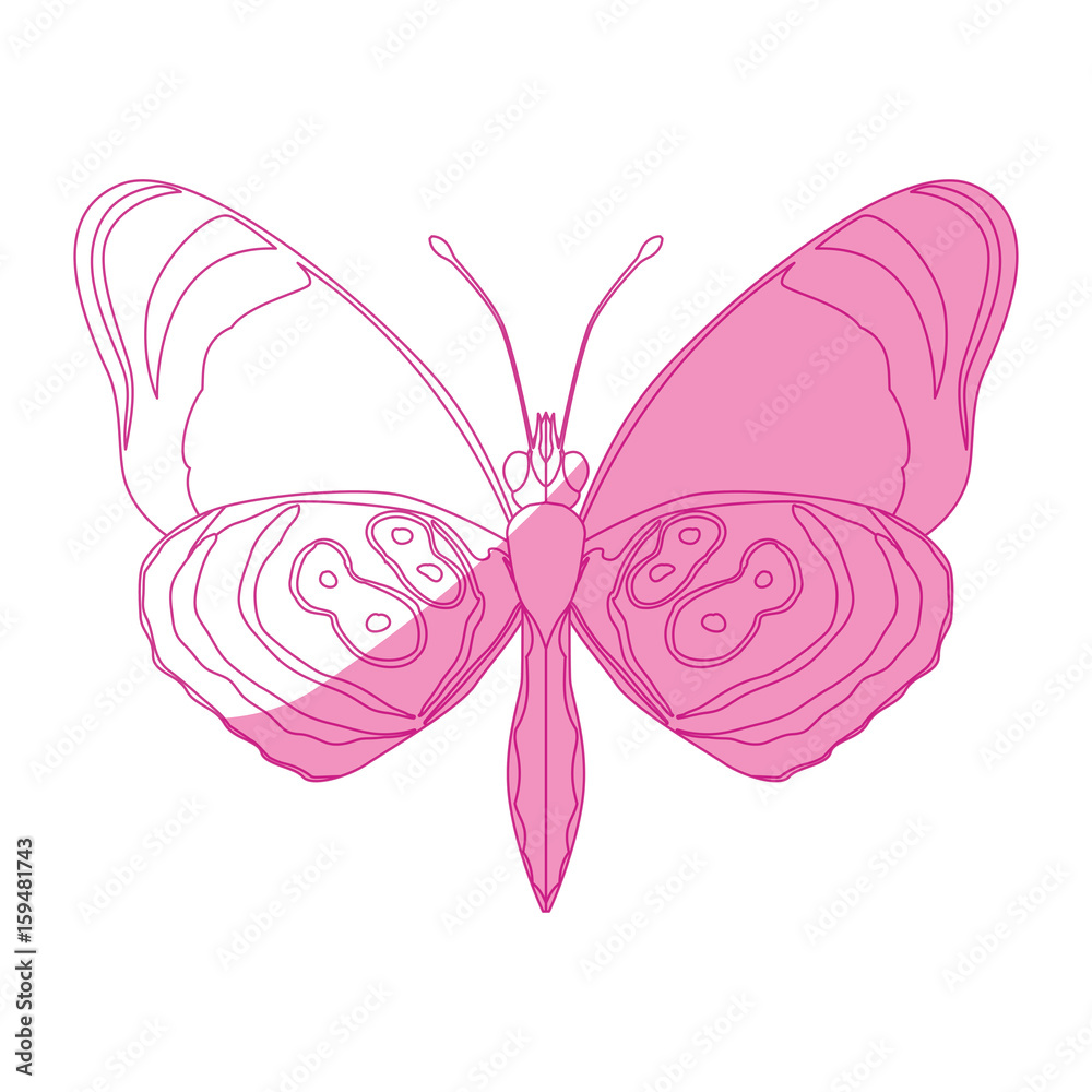 Beautiful Butterfly silhouette icon vector illustration graphic design Beautiful Butterfly silhouette icon vector illustration graphic design