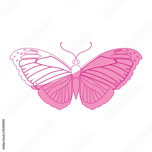 Beautiful Butterfly silhouette icon vector illustration graphic design © djvstock