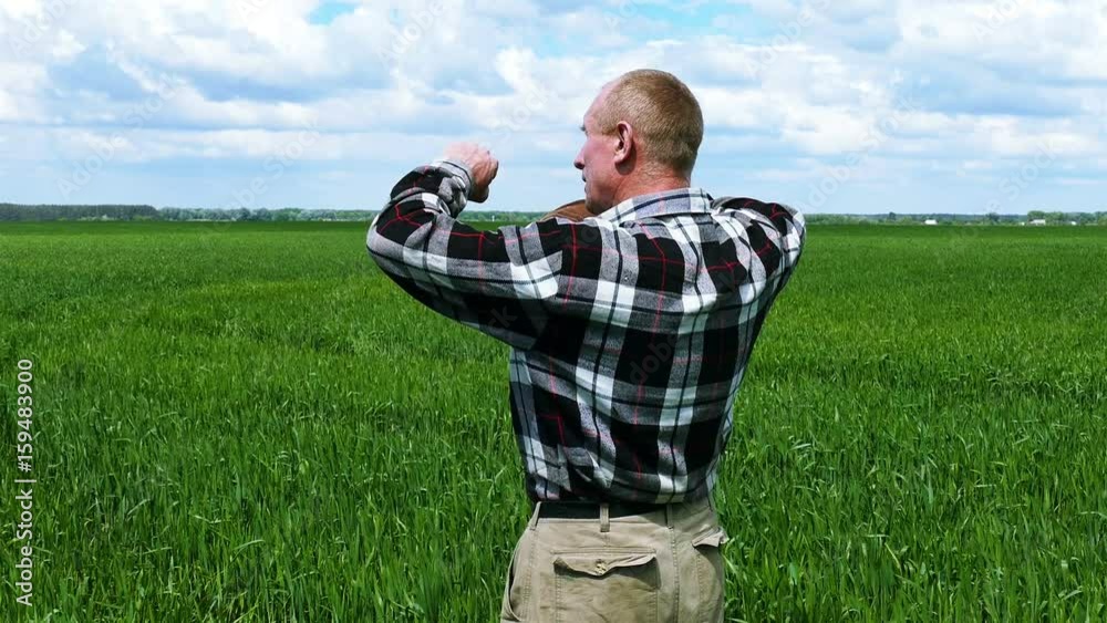 4K .Adult  man farmer  go on green  field. Blue sky with clouds   
