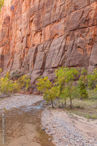 Autumn on the Virgin River Zion National Park Utah