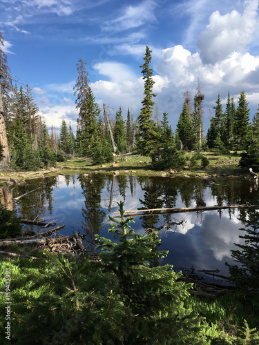 Fototapeta Naklejka Na Ścianę i Meble -  Mountain Lake with Reflections of Pine Trees