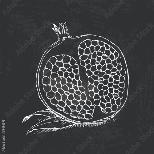 Vector illustration of fruit painted in engraving style. The sliced garnet drawn with chalk on blackboard