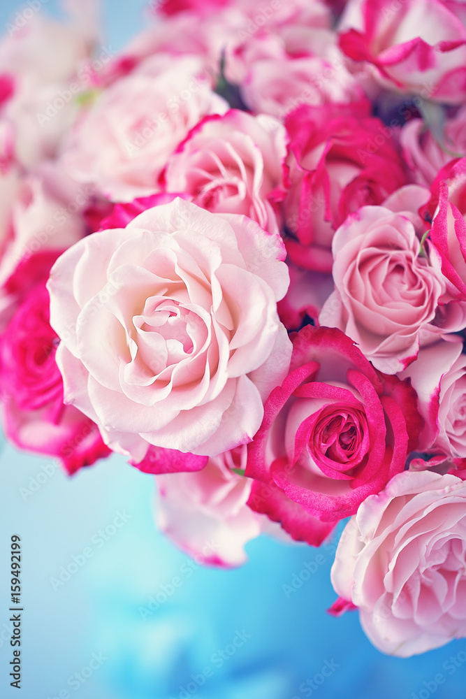Close-up floral composition with a pink roses .Many beautiful fresh pink roses .