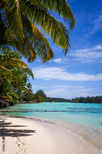 Paradise tropical beach and lagoon in Moorea Island