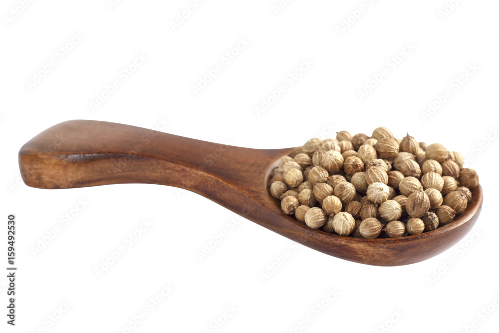 Coriander seeds in wood spoon on white background Coriander seeds in wood spoon on white background