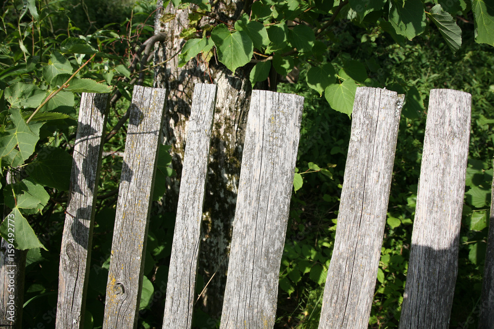 old wooden fence