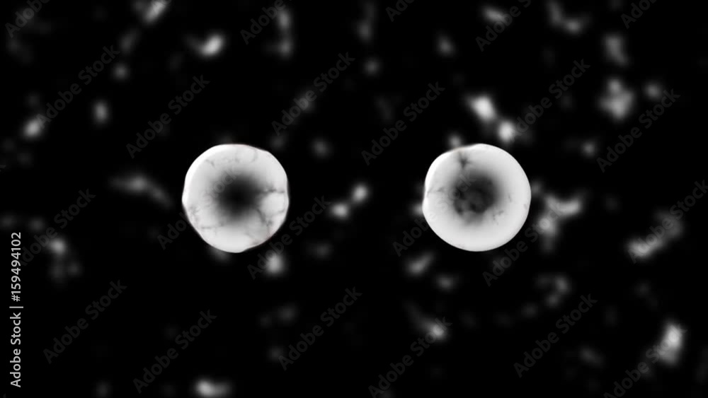 Animation of the division of virus molecules in the body