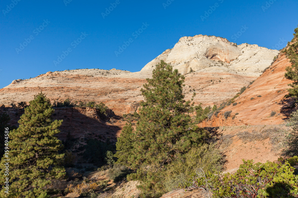 Scenic Zion National Park Landscape