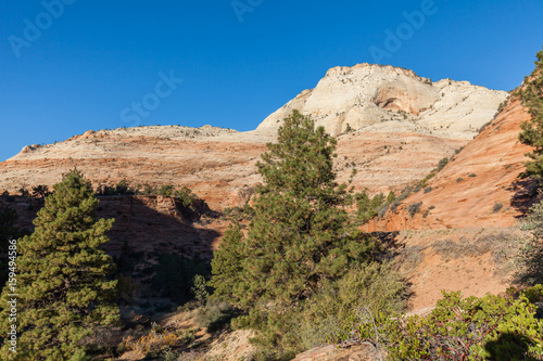 Scenic Zion National Park Landscape
