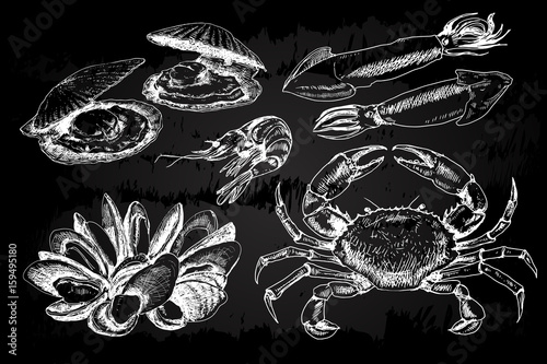 Seafood hand drawn collection photo