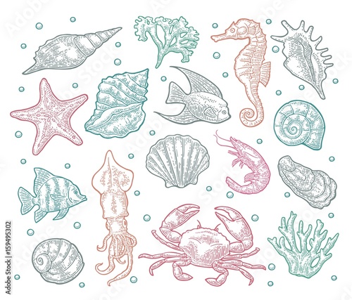 Seamless pattern sea animal.