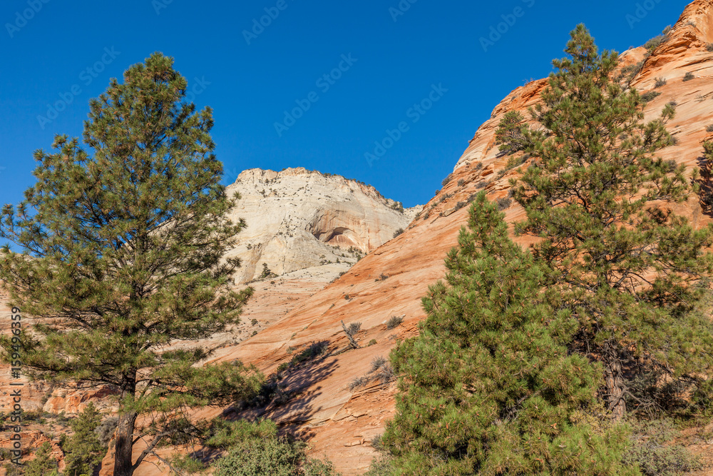 Scenic Zion National Park Landscape Scenic Zion National Park Landscape
