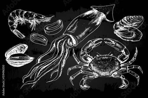 Seafood hand drawn collection