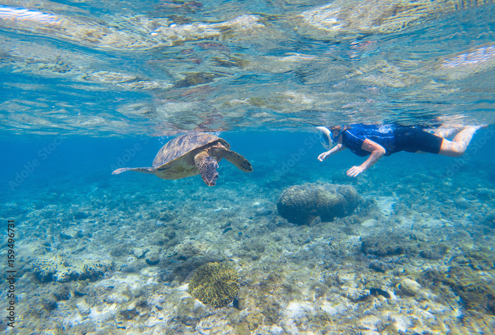 Woman snorkeling with sea turtle. Turtle and snorkel underwater.