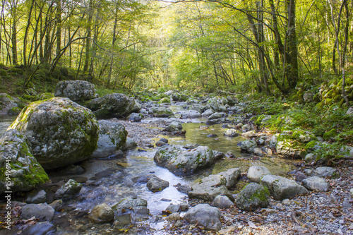 River stream in colorful autumn forest in Slovenia