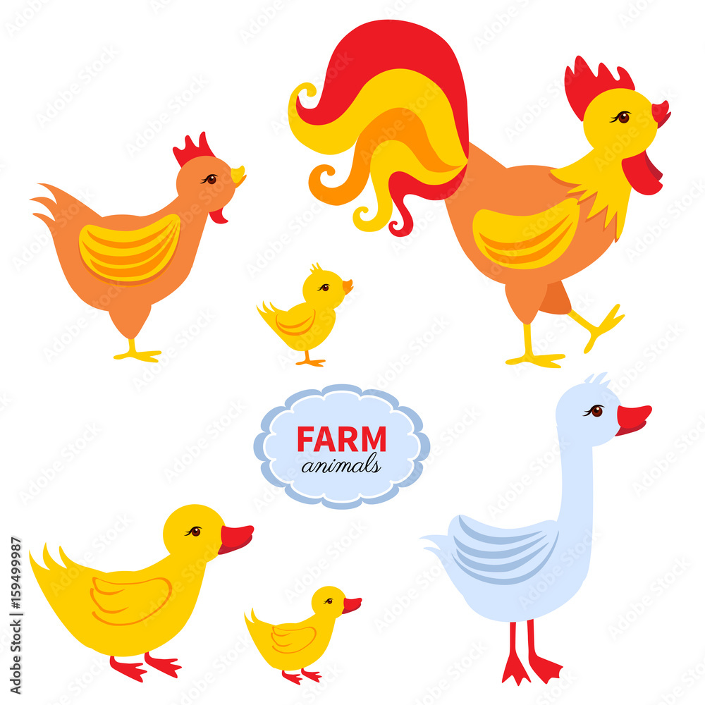 Cartoon cute farmer animals, rooster, chick, chicken, duck, goose isolated on white background, domestic funny birds set, Character design for greeting card, children invite, creation of alphabet