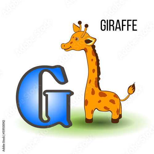 Cute Zoo alphabet G with cartoon giraffe  wild african kid animal vector illustration isolated on background  Education for children  preschool  ABC poster for learn to read  character design  mascot