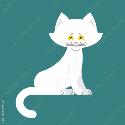 White Cat isolated. cute kitten is sitting. Pet