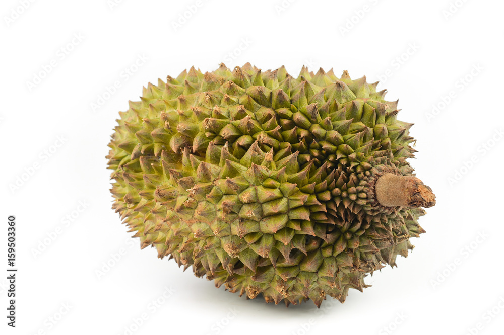 Durian isolated on white Durian isolated on white