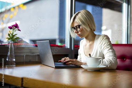 Young Focused Woman Working On Laptop In Cafe