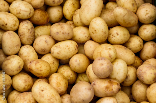 Fotografia Small White Potatoes at a Farmers Market