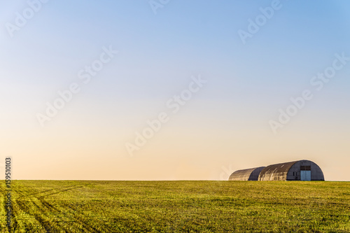 Farm hangars in evening field. Agricultural landscape.