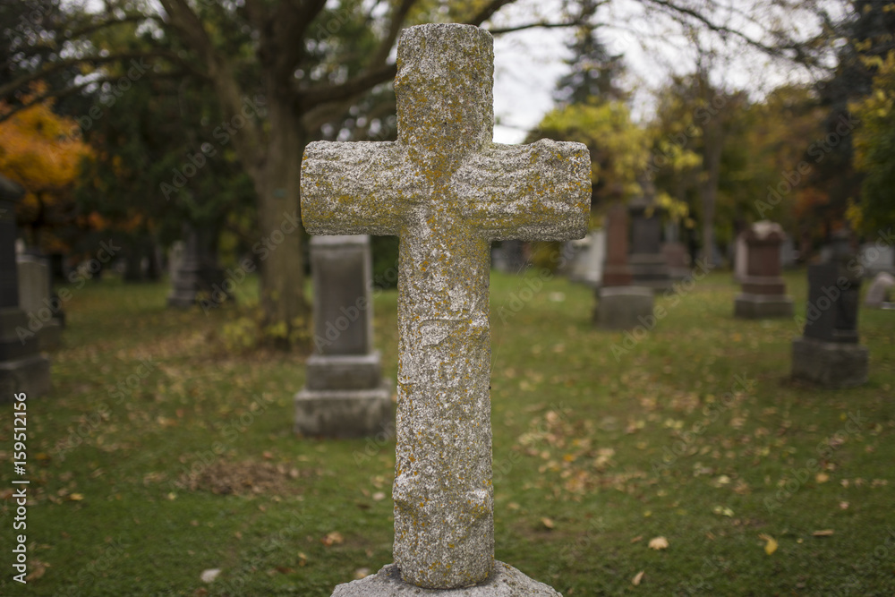 Cross Cross