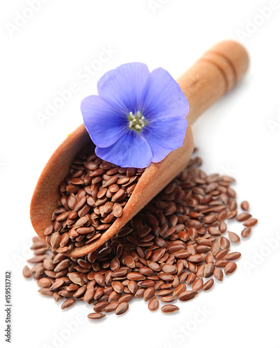 Flax seed and flax flowers . photo