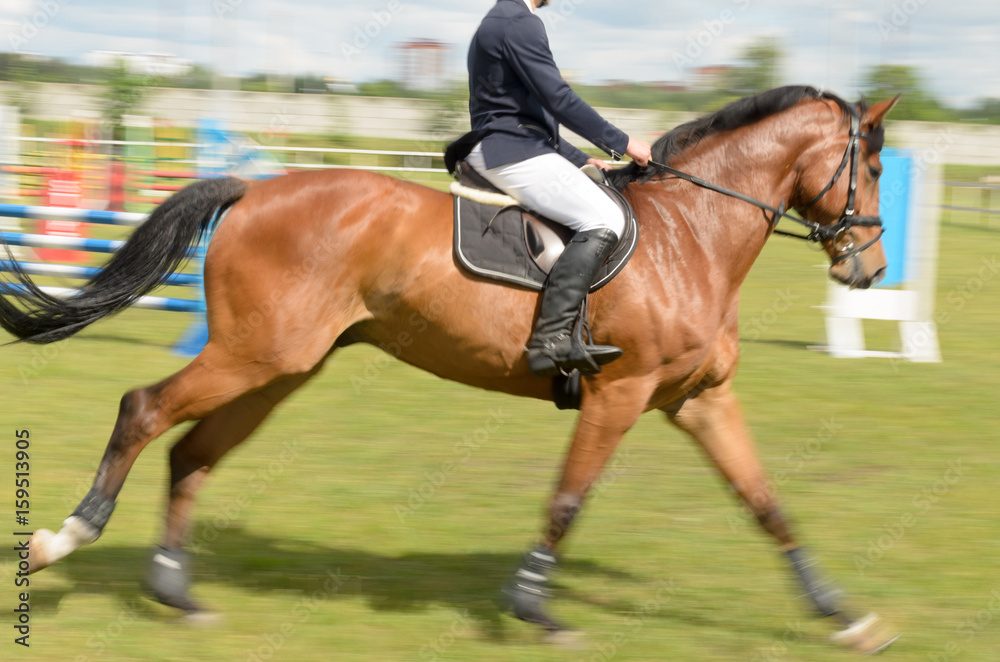 Competitions in equestrian sport with overcoming obstacles. Competitions in equestrian sport with overcoming obstacles.