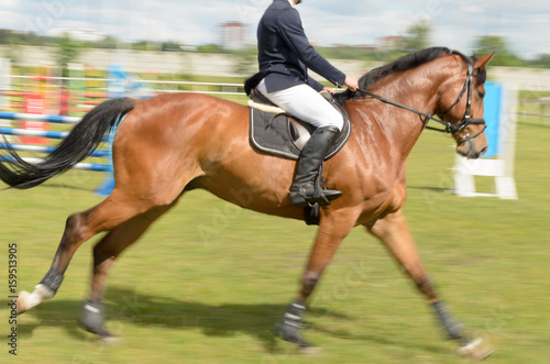 Competitions in equestrian sport with overcoming obstacles. © gelmold