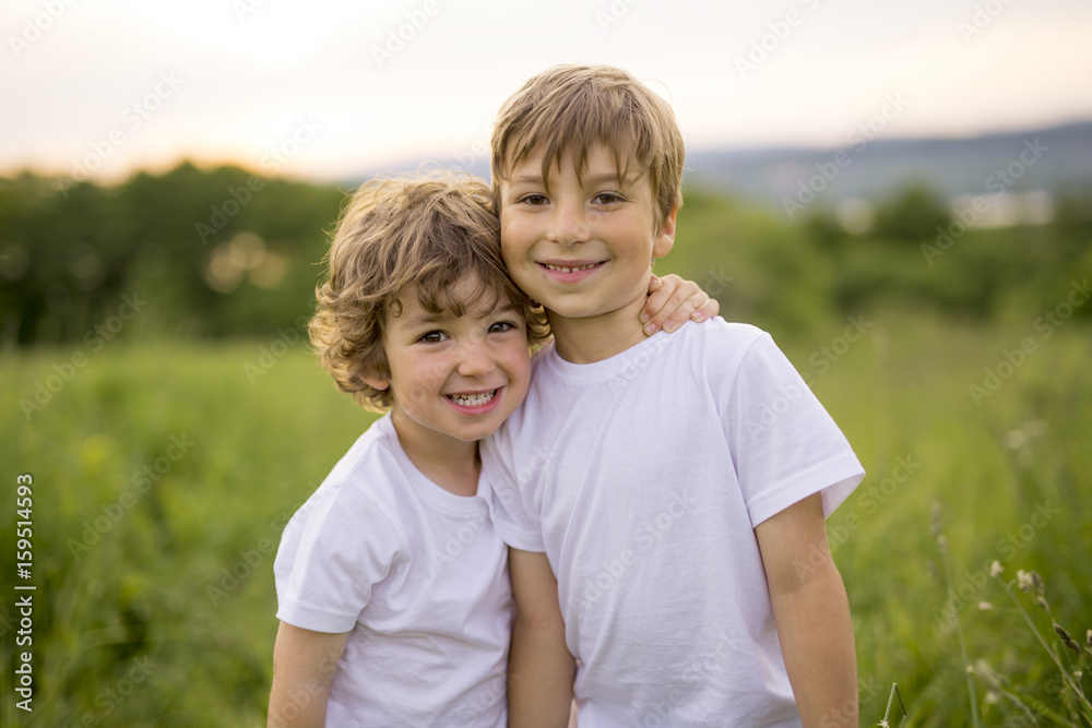 Brother play together in a green meadow Brother play together in a green meadow
