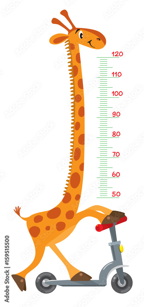 Fototapeta premium Giraffe on scooter. Meter wall or height chart