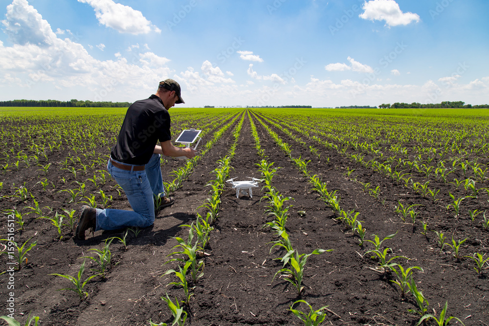 Agronomist Using a Tablet in an Agricultural Field Agronomist Using a Tablet in an Agricultural Field