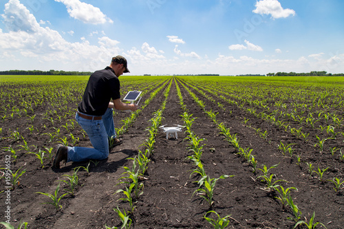 Agronomist Using a Tablet in an Agricultural Field