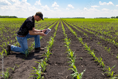 Agronomist Using a Tablet in an Agricultural Field