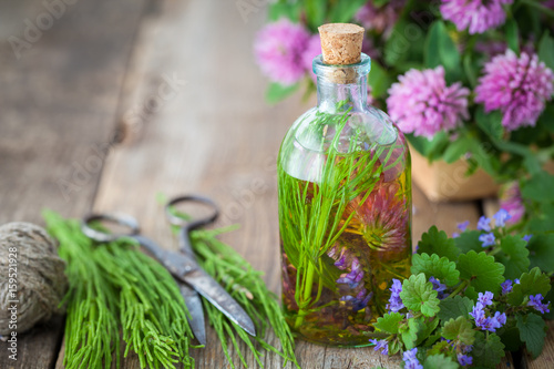 Bottles of tincture or infusion of healthy herbs  scissors  healing herbs on wooden board. Herbal medicine concept.