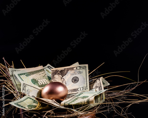 Nest Egg Concept
