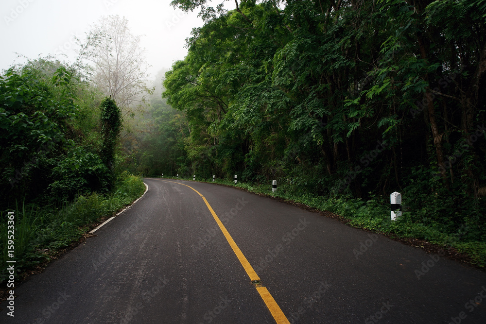 Obraz premium Country Road on the Mountain of Doi Phuka National Reserved Park, Nan Province, Thailand