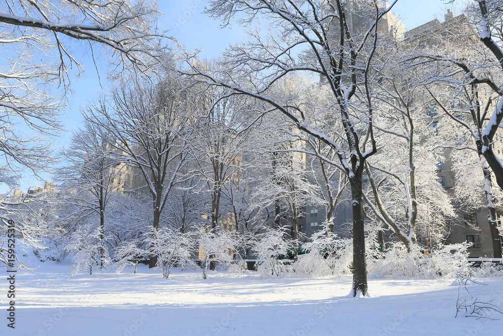 セントラルパーク 雪景色 セントラルパーク 雪景色