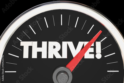Thrive Word Speedometer Rise Succeed 3d Illustration