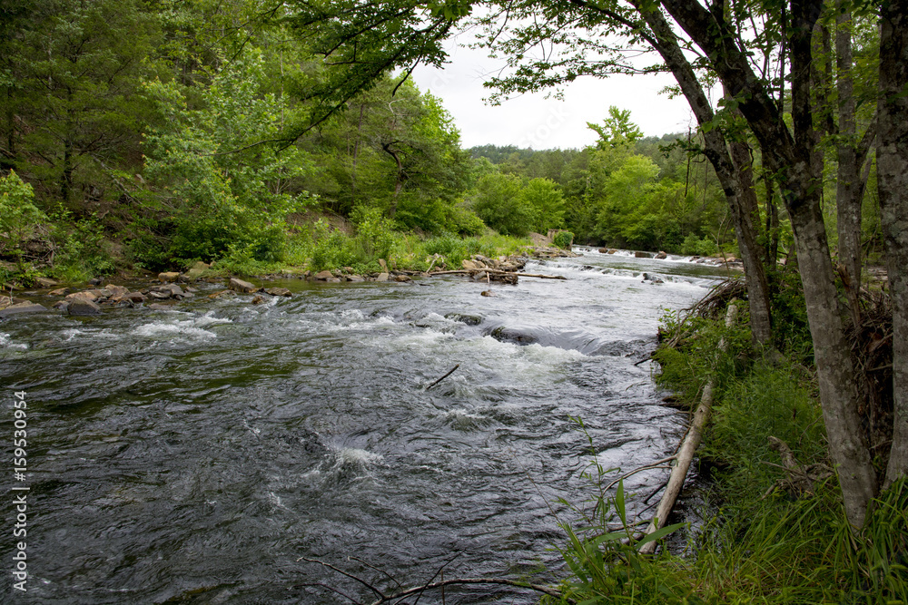 Mountain Stream Mountain Stream