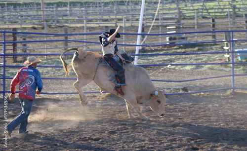 Bull rider at Rodeo