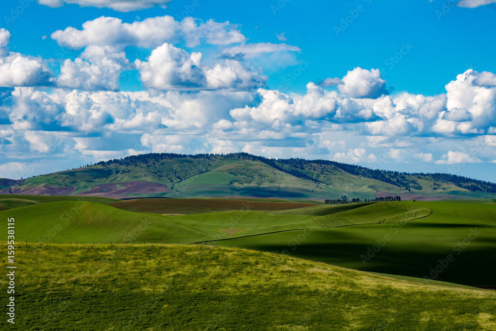 Palouse Palouse