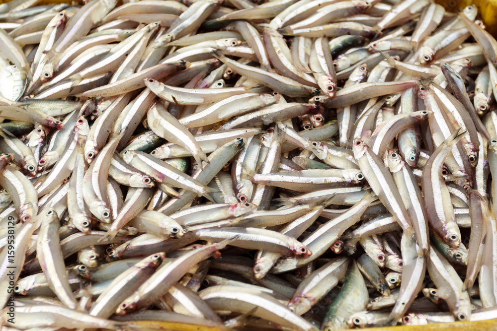 Seafood at Vietnam