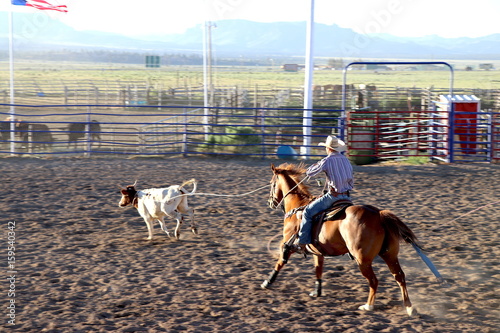 Rodeo cowboy with lassoo