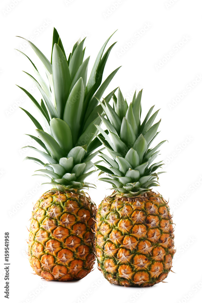 Ripe pineapples isolated on a white background Ripe pineapples isolated on a white background