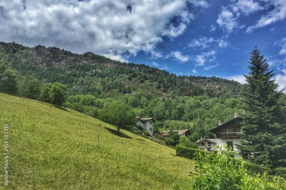 baite tra gli alberi in montagna